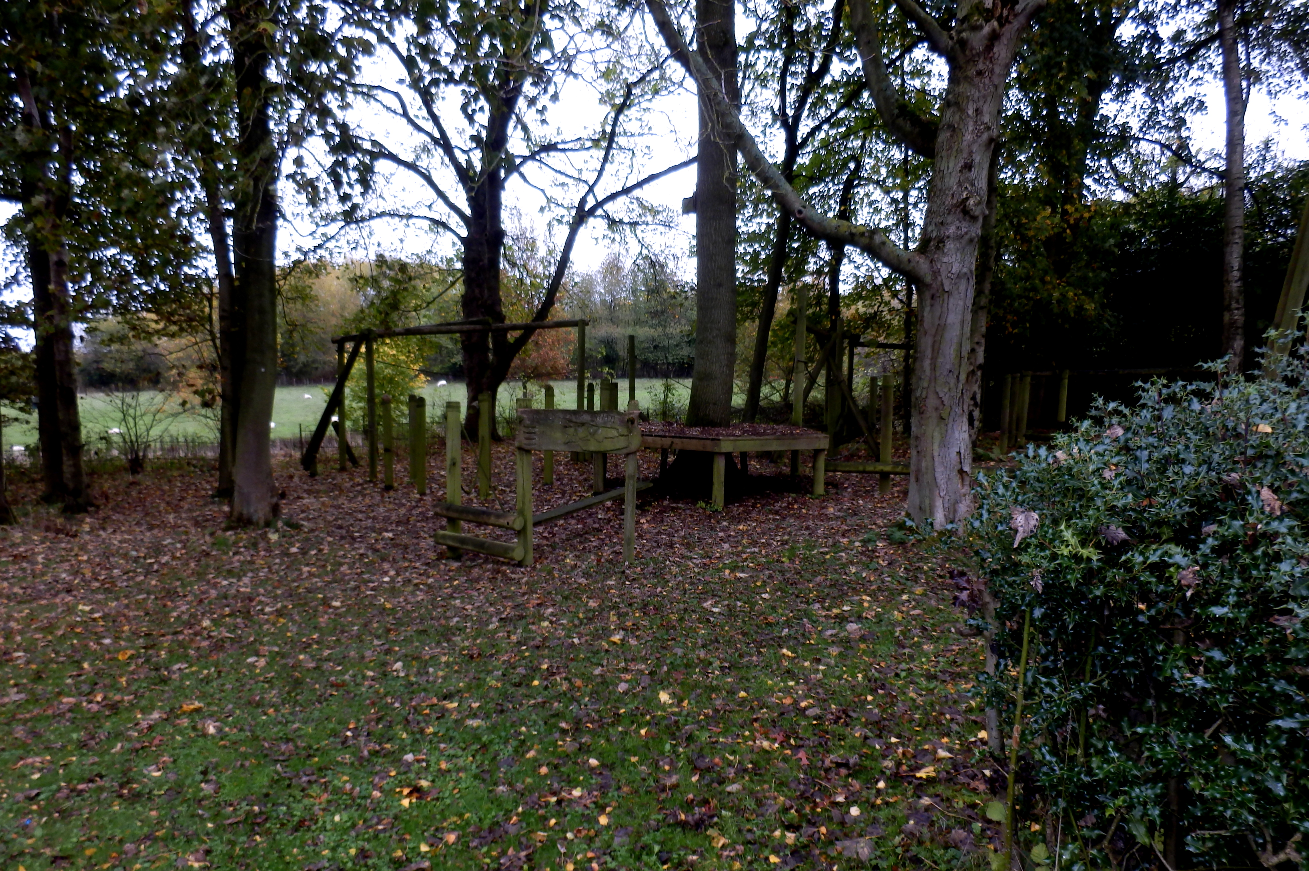 Grounds
